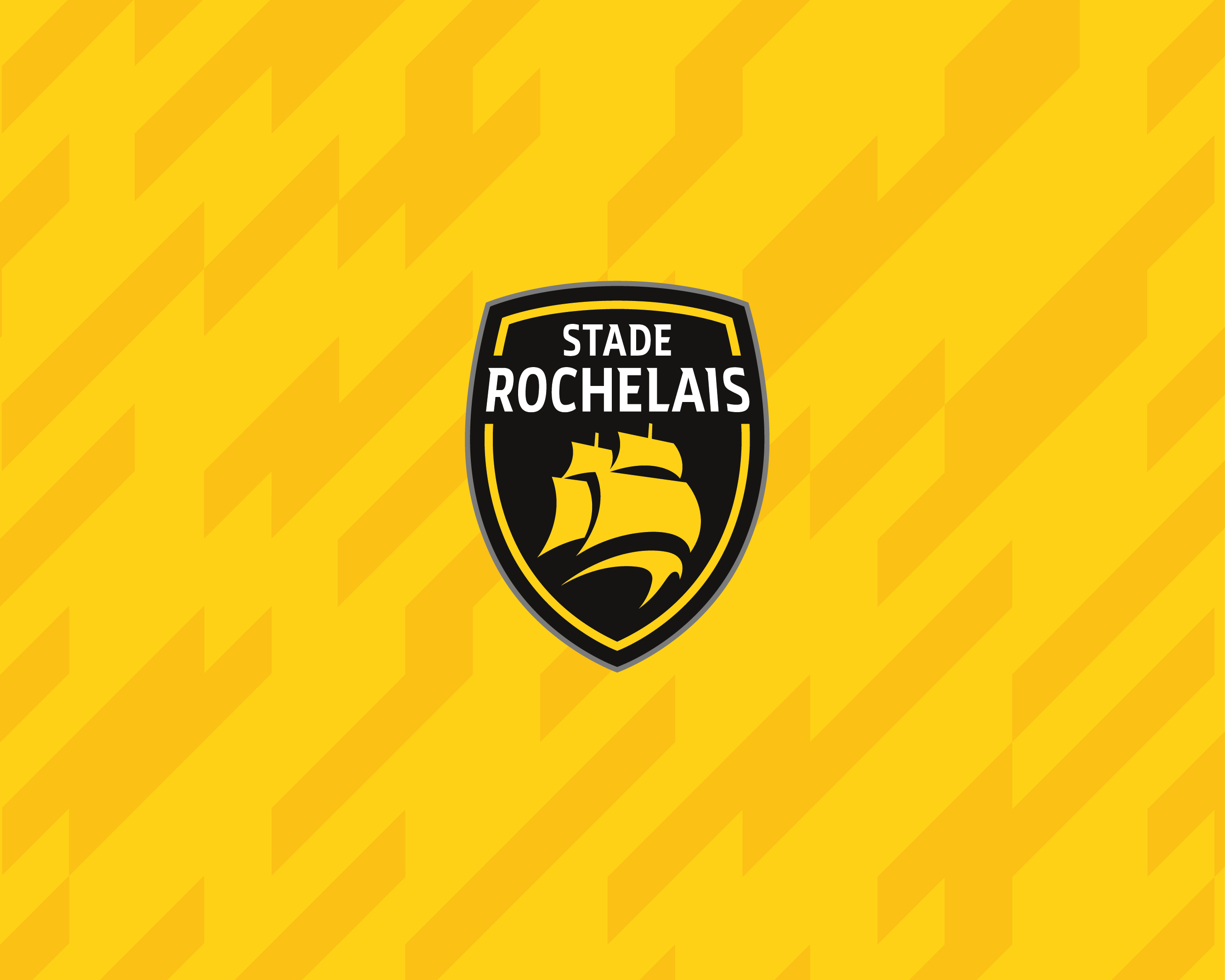 Fonds D Ecran Stade Rochelais