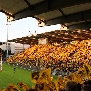La passion Jaune et Noir