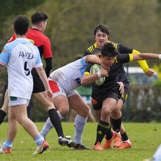 02/04/2022 - Cadets Alamercery - Stade Rochelais 27 / 10 Bayonne