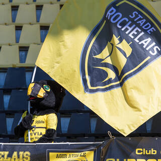 02/05/2020 - 1/2 Finale Champions Cup - Stade Rochelais 32/23 Leinster Rugby