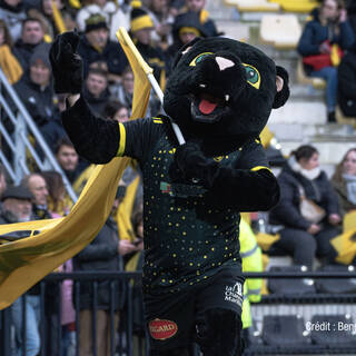 03/02/2024 - Top 14 - Stade Rochelais 18 / 10 Montpellier HR