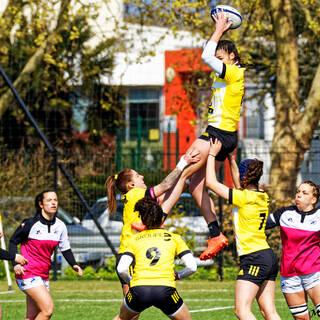 03/04/2022 - Élite 2 Féminine - Stade Rochelais 29 / 10 Dijon