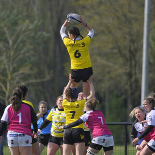 03/04/2022 - Élite 2 Féminine - Stade Rochelais 29 / 10 Dijon