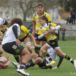  03/12/2022 - Cadets Gaudermen - Stade Rochelais 29 / 17 Brive