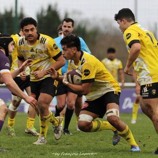 04/02/2024 - Espoirs - SA XV 05 / 46 Stade Rochelais