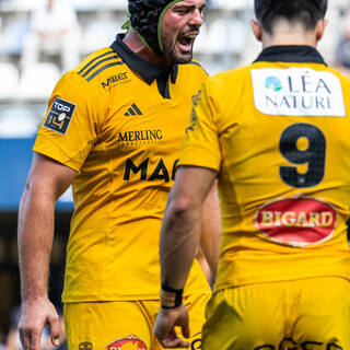 04/10/2025 - Top 14 - Montpellier Hérault Rugby 37 / 13 Stade Rochelais