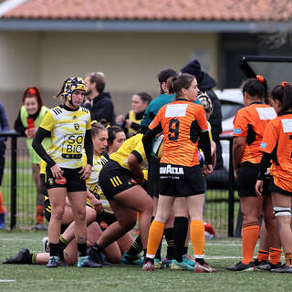 04/12/2022 - Élite 2 - Stade Rochelais 75 / 12 Narbonne