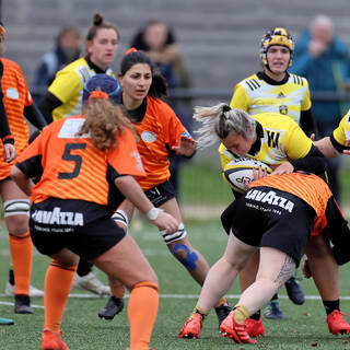 04/12/2022 - Élite 2 - Stade Rochelais 75 / 12 Narbonne