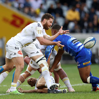 06/04/2024 - 1/8 Champions Cup - Stormers 21 / 22 Stade Rochelais