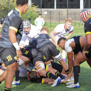 06/11/2022 - Espoirs - Stade Rochelais 31 / 15 SA XV