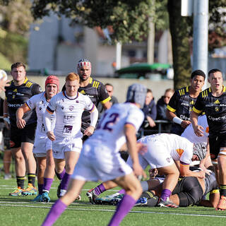 06/11/2022 - Espoirs - Stade Rochelais 31 / 15 SA XV