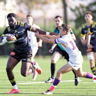 06/11/2022 - Espoirs - Stade Rochelais 31 / 15 SA XV