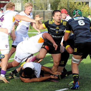 06/11/2022 - Espoirs - Stade Rochelais 31 / 15 SA XV