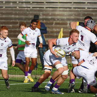 06/11/2022 - Espoirs - Stade Rochelais 31 / 15 SA XV