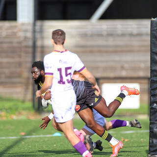 06/11/2022 - Espoirs - Stade Rochelais 31 / 15 SA XV