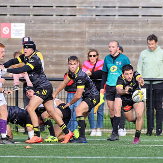 06/11/2022 - Espoirs - Stade Rochelais 31 / 15 SA XV