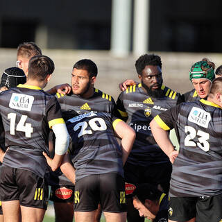 06/11/2022 - Espoirs - Stade Rochelais 31 / 15 SA XV