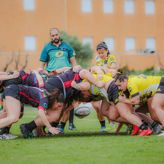 07/04/2024 - Elite 2 - RCTPM 10 / 14 Stade Rochelais