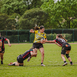 07/04/2024 - Elite 2 - RCTPM 10 / 14 Stade Rochelais