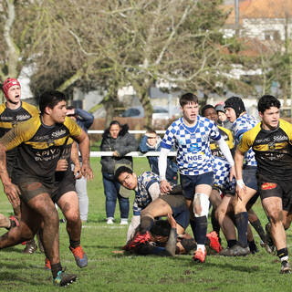 08/02/2020 - Cadets Alamercery - J10 - Stade Rochelais 22 / 12 Bordeaux Bègles
