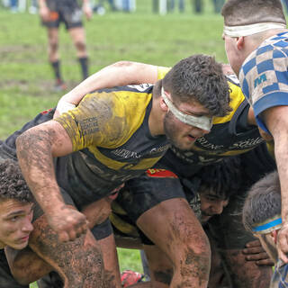 08/02/2020 - Cadets Alamercery - J10 - Stade Rochelais 22 / 12 Bordeaux Bègles
