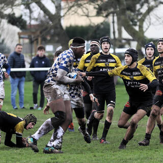 08/02/2020 - Cadets Gaudermen - J10 - Stade Rochelais 9 / 16 Bordeaux Bègles