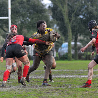 08/02/2025 - U18 Filles Accession - Stade Rochelais 34 / 7 Niort Rugby Club