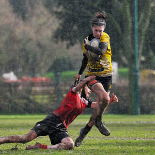08/02/2025 - U18 Filles Accession - Stade Rochelais 34 / 7 Niort Rugby Club