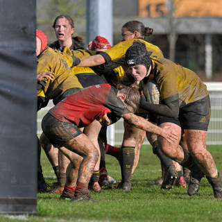 08/02/2025 - U18 Filles Accession - Stade Rochelais 34 / 7 Niort Rugby Club