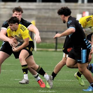 08/03/2025 - U18 - Stade Rochelais 25 / 13 Massy