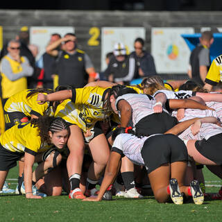 08/11/2025 - U18 Féminines Élite - Stade Rochelais 36 / 00 Stade Rennais