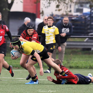 09/11/2024 - Gaudermen - Stade Rochelais 51 - 0 Rouen