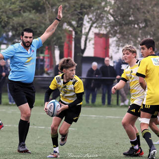09/11/2024 - Gaudermen - Stade Rochelais 51 - 0 Rouen