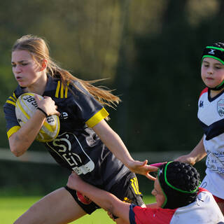 09/11/2024 - U15 Filles - Challenge Fédéral 