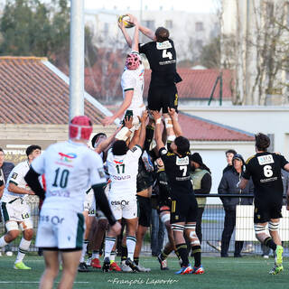 10/02/2024 - Espoirs - Stade Rochelais 24 / 15 Section Paloise