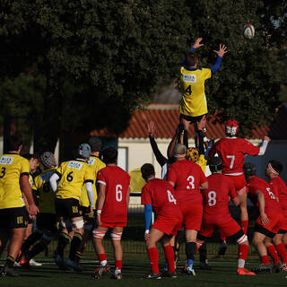 10/12/2022 - Cadets Alamercery - Stade Rochelais 50 / 3 Aurillac