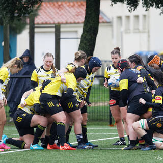 10/12/2023 - Federale 2 - Stade Rochelais 53 / 6 La Couronne