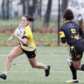 10/12/2023 - Federale 2 - Stade Rochelais 53 / 6 La Couronne