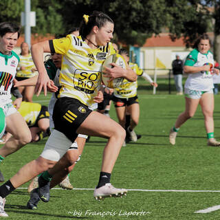 11/02/2024 - Elite 2 - Stade Rochelais 27 / 00 Clermont La Plaine