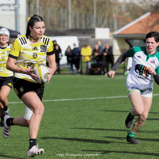 11/02/2024 - Elite 2 - Stade Rochelais 27 / 00 Clermont La Plaine