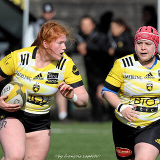 11/02/2024 - Elite 2 - Stade Rochelais 27 / 00 Clermont La Plaine