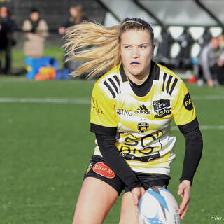 11/02/2024 - Fédérale 2 - Stade Rochelais 81 / 10 Niort