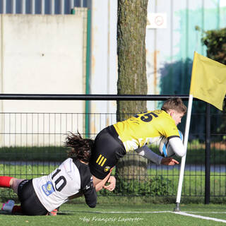11/02/2024 - Fédérale 2 - Stade Rochelais 81 / 10 Niort