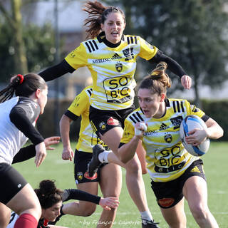11/02/2024 - Fédérale 2 - Stade Rochelais 81 / 10 Niort