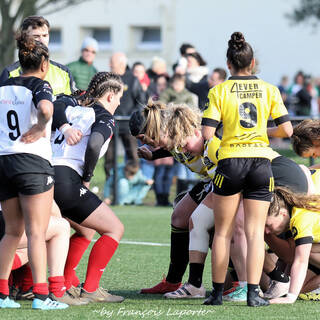 11/02/2024 - Fédérale 2 - Stade Rochelais 81 / 10 Niort