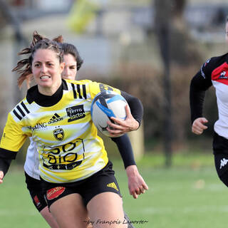11/02/2024 - Fédérale 2 - Stade Rochelais 81 / 10 Niort