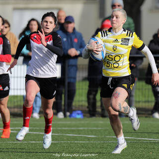 11/02/2024 - Fédérale 2 - Stade Rochelais 81 / 10 Niort