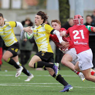 11/03/2023 - Cadets Alamercery - Stade Rochelais 17 / 17 Biarritz Olympique Rugby