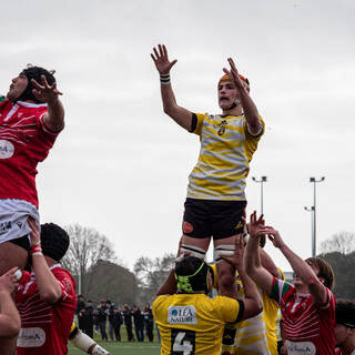 11/03/2023 - Crabos - Stade Rochelais 8 / 11 Biarritz Olympique Rugby