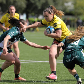 12/04/2026 - Fédérale 1 - Stade Rochelais 41 / 36 Lons